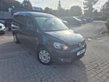 Volkswagen Caddy Maxi Roncalli * 7-SITZER* - Volkswagen Caddy Maxi: Roncalli