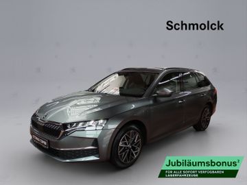 Octavia Combi Tour 2.0 TDI DSG AHK ACC NAVI