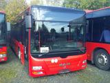 MAN A 20, A 21,  Deutscher Bus,  ID.NR.: 1554 - MAN D20