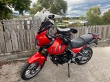 Triumph Tiger 955 i - TRIUMPH TIGER 955I