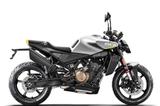 Husqvarna Vitpilen 801 silver 2025 (neues Modell) - HUSQVARNA VITPILEN 801