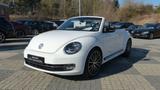 Volkswagen Beetle 1.4 TSI DSG Cabriolet Sport Leder - Volkswagen Beetle: Cabrio