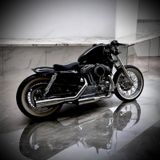 Harley-Davidson Sportster 1200 - HARLEY-DAVIDSON 2010 SPORTSTER 1200