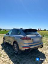 Porsche Cayenne Diesel - 2015 - Scheckheftgepflegt  - Porsche Cayenne in Wiesbaden