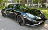 Porsche 987 Spyder - SAGA - Carbon Schale - Service Neu