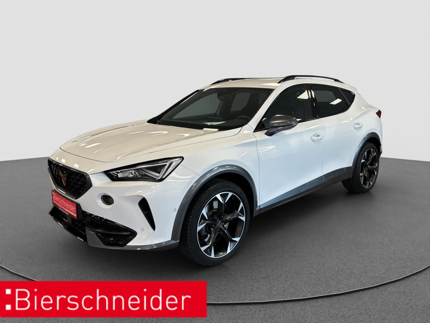Cupra Formentor VZ 2.0 TSI 4-Drive DCC BEATS SHZ CAM A