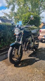 Suzuki GSF 600 Bandit - SUZUKI 1996 BANDIT 600