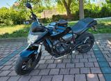 Honda Hornet 600 Werkstatt gepflegt! - HONDA HORNET 600