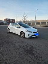 Kia cee'd / Ceed 1.6 CVVT Spirit Sporty Wagon Spirit - Kia: Kombi, Cee D Sporty Wagon