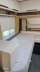 Fendt Apero 515 SG - Fendt Apero 515 SG