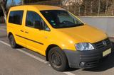 Volkswagen Caddy Life 2.0 SDI 2-Sitzer Standard TÜV neu  - Volkswagen Caddy: Sdi