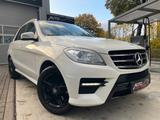 Mercedes-Benz ML 250 CDI BlueTec/NAVI/LEDER/AHK/AMG PAKET - Mercedes-Benz ML 250 in Hannover