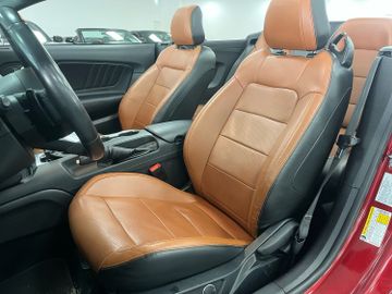 Ford Mustang - 11