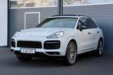 Porsche Cayenne 2.9 V6 S Platinum Edition/BOSE/4xSHZ/R21 - Porsche