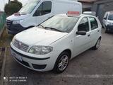Fiat Punto Classic 1.2 5P 60CV porte Natural Pow - Fiat Punto: 60