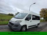 Citroën Jumper Kombi 33 L2H2 Shine e-HDi 130*9Sitzer* - Citroën Jumper: Kombi