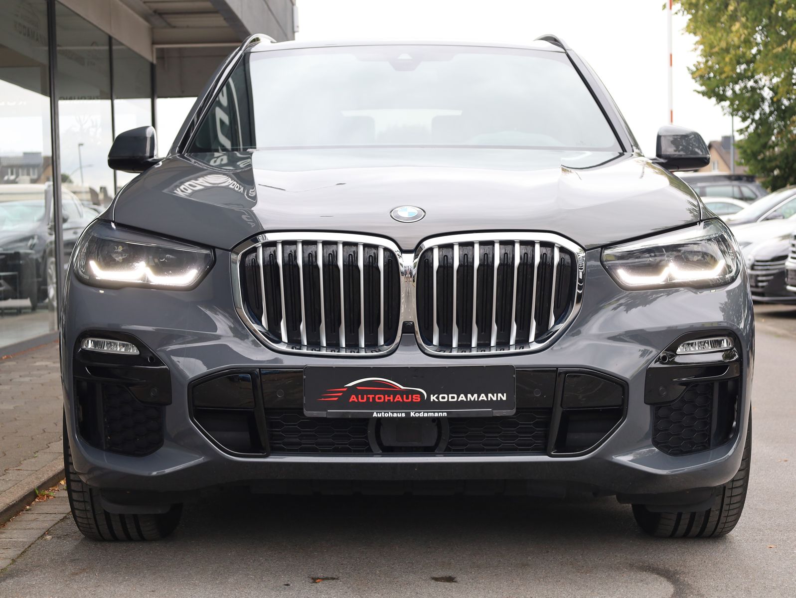 BMW X5 xDrive40d M-Sport AHK HUD H&K ACC Virtual 20 foto 5