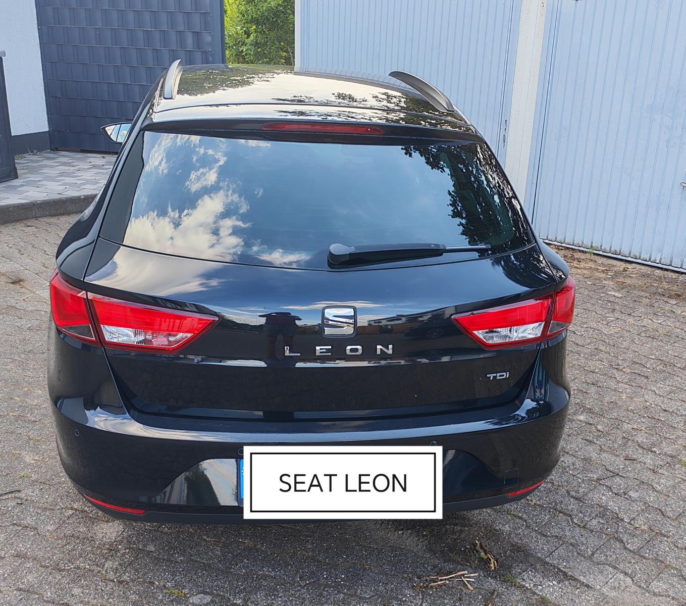 Seat Leon 2014 — interior
