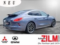 GWM Ora 07 - Vorschau Bild 5