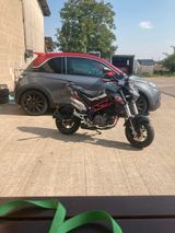 Benelli tnt125 - BENELLI VON 81 BIS 125 CCM