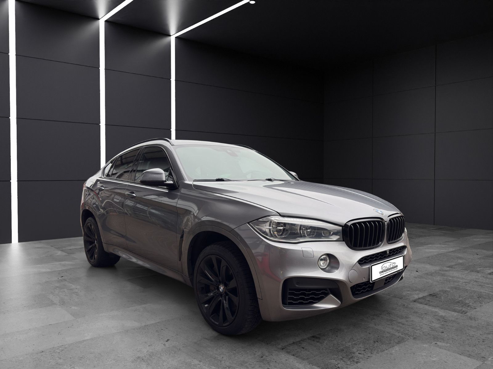 Fahrzeugabbildung BMW X6 xDrive 50 i/Msport/H&K/Head-UP/Rkü/Export