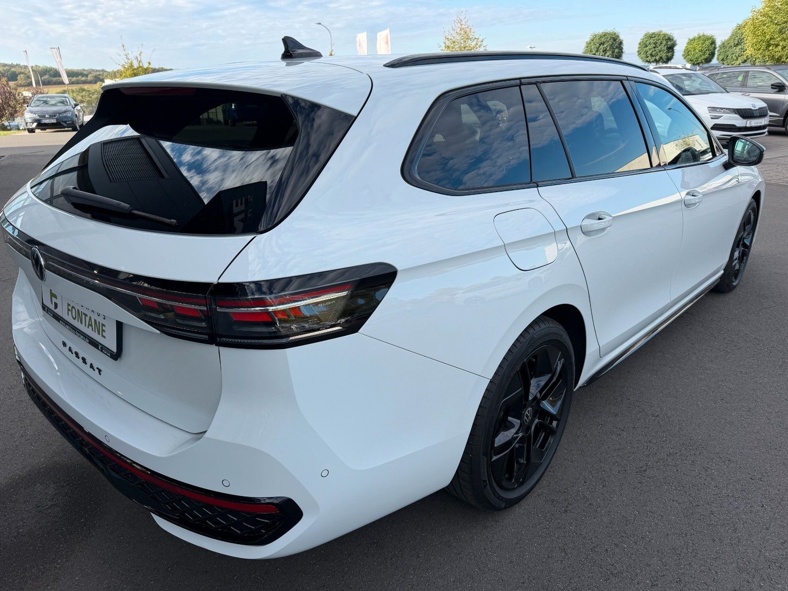 Volkswagen Passat Variant 2.0TDI 4Motion R-Line AHK Standhz foto 6