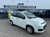 Fiat Panda Easy Klima Tüv neu - Fiat Panda Gebrauchtwagen in Krefeld
