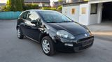 Fiat Punto 1.2 "Easy"/ Klima/ZV/City-Lenkung/ Tüv Neu - Fiat Punto aus 2012