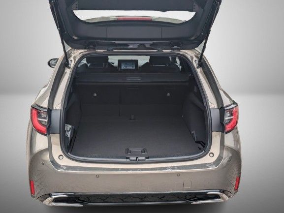 Suzuki Swace - Bild 8