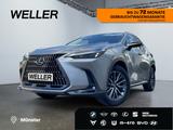 Lexus NX 450h+ E-FOUR Executive Line *LED*AHK*360°*ACC - Lexus NX-Serie Jahreswagen