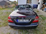 Mercedes-Benz Cabrio CLK 350 AVANTGARDE  - Mercedes-Benz CLK 350