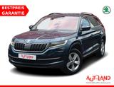 Skoda Kodiaq 2.0 TSI DSG 4x4 LED Navi Sitzheizung AHK - Skoda Gebrauchtwagen in Dresden