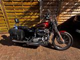 Harley-Davidson XL 883 C     - HARLEY-DAVIDSON 883 XL