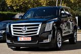 Cadillac Escalade 6.2 V8 AWD Premium Collection 22 ZOLL - Cadillac Escalade: Premium