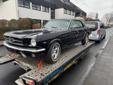 Ford Mustang 289/ V 8- SCHALTGETRIEBE !!!!! - Ford Mustang 289 Gebrauchtwagen