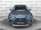 Lexus NX Plug-in Premium+ 4WD - Lexus aus 2024: Nx