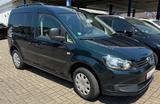 Volkswagen Caddy Roncalli Startline 5 Sitze Klima Kette gew - Volkswagen Caddy: Startline
