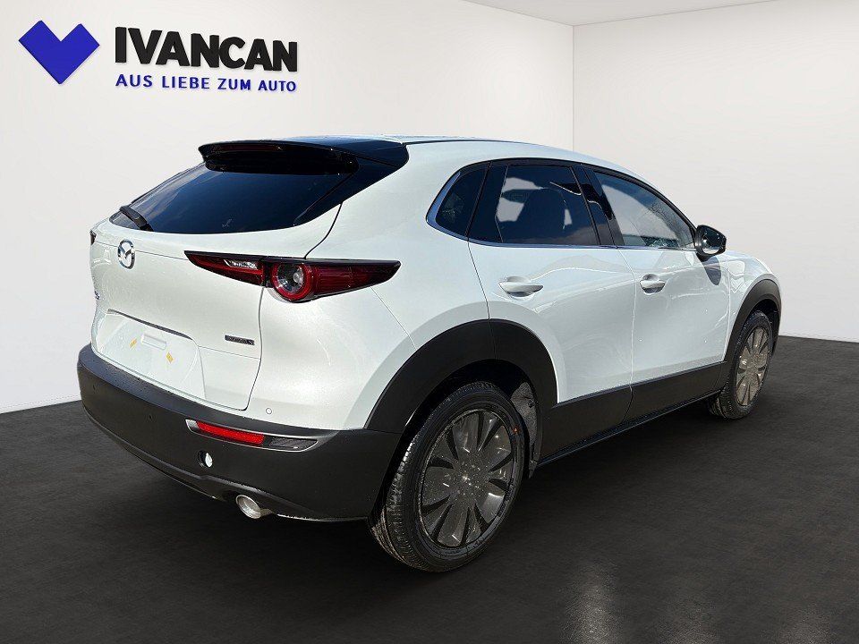 Fahrzeugabbildung Mazda CX-30 X 2.0i 186PS A/T Homura