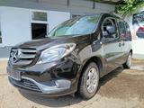 Mercedes-Benz Citan Kombi 111 CDI lang - Mercedes-Benz Citan mit Diesel-Antrieb: Kleinbus, Cdi Lang