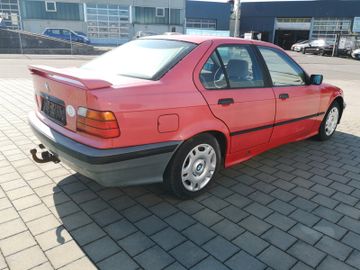 BMW 316 - 7