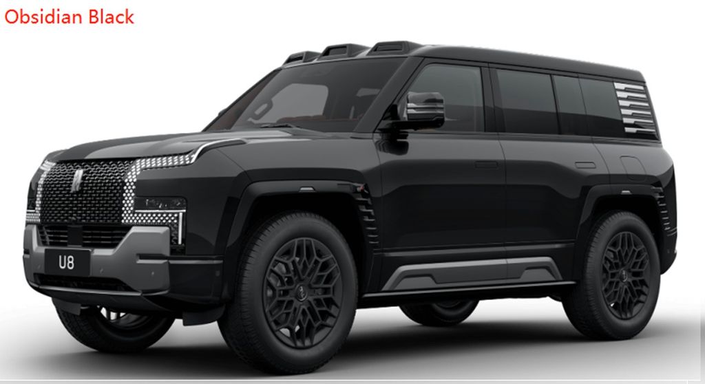 BYD Andere