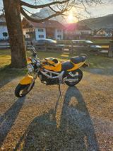 Suzuki SV 650 - 2001 SV650S