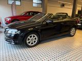 Audi A3 Cabrio TDI 105cv Motore nuovo! - Audi A3: Motor