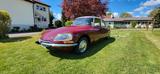 Citroën DS 19 - Citroën DS Gebrauchtwagen