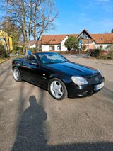 Mercedes-Benz SLK 230 Kompressor R170 AMG Paket Bose sou... - Mercedes-Benz: Cabrio, 170s