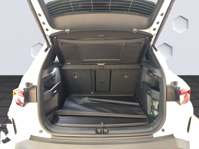 Elroq RS Lounge Sportpaket HUD AD Navi Digitales