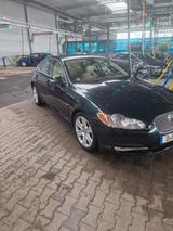 Jaguar XF - Jaguar Gebrauchtwagen von 2006