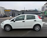 Fiat Punto TÜV NEU - Fiat Punto Gebrauchtwagen in Nürnberg