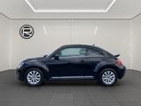 Volkswagen Beetle 1.2 TSI Design *PDC SHZ* - gebrauchte VW Beetle aus dem Jahr 2013
