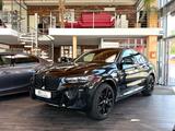 BMW X4 xDrive 30 dA M Sportpaket ACC Stdhzg AHK 360° - BMW X4 Gebrauchtwagen